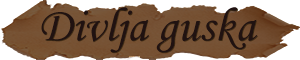 divlja guska